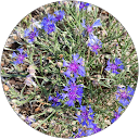 Régine G. profile picture