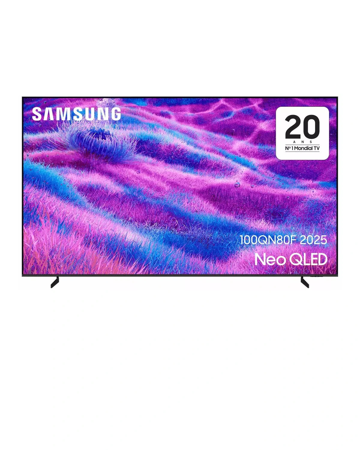 SAMSUNG TV Neo QLED 4K 100 pouces TQ100QN80F