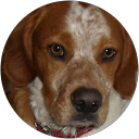 francoisekiwi R. profile picture