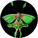 Estelle G. profile picture